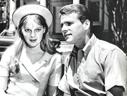 Peyton Place TV Series